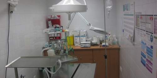 AMANTEA CLINICA VETERINARIA