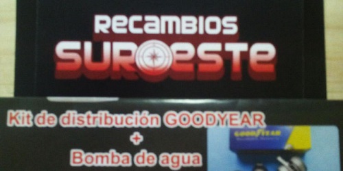 RECAMBIOS SUROESTE