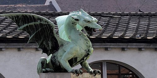 FOTO PAULI