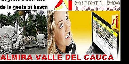 AMARILLAS INTERNET PALMIRA Licencia oficial