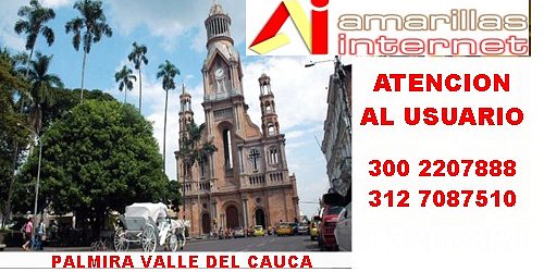 AMARILLAS INTERNET PALMIRA Licencia oficial