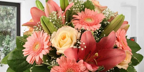 FLORISTERIA MONICA