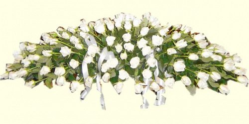 FLORISTERIA MONICA