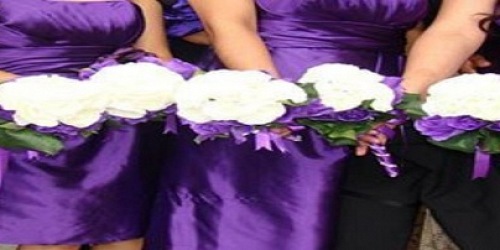 FLORISTERIA MONICA