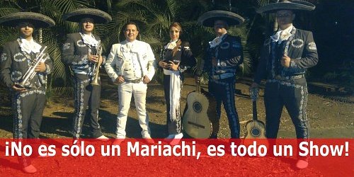MARIACHI FIESTA SHOW