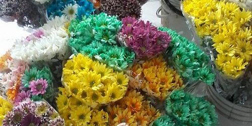 LOS GIRASOLES Floristeria