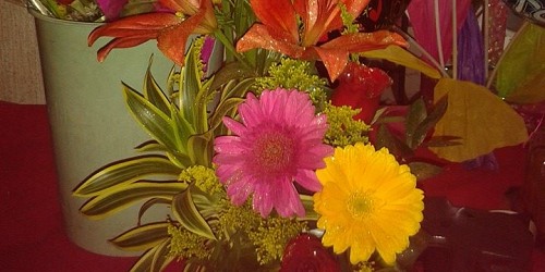 LOS GIRASOLES Floristeria