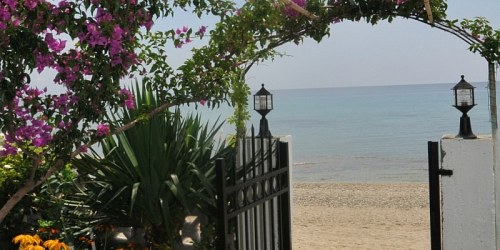 ΚΥΑΝΗ ΑΚΤΗ
