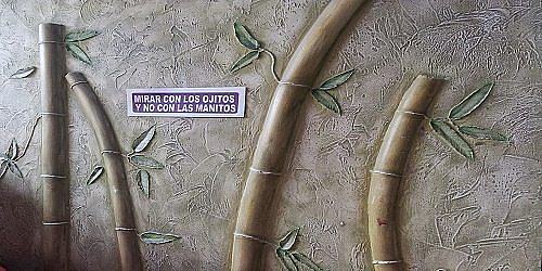 PINTURAS Y REVESTIMIENTOS EXPOCOLOR JR