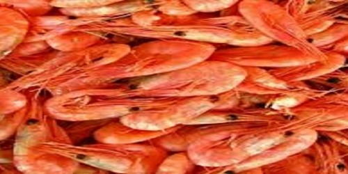 PESCADERIA MADELENA
