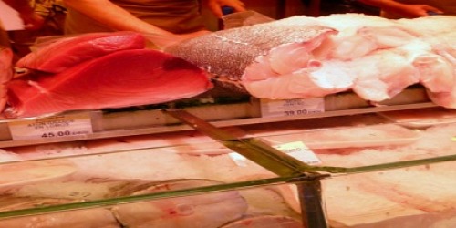 PESCADERIA MADELENA