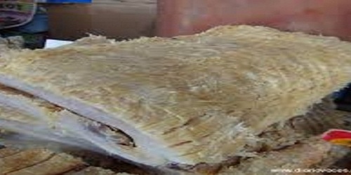 PESCADERIA MADELENA