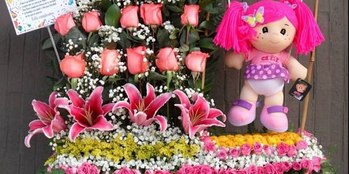 FLORISTERIA MAXIFLORES BUCARAMANGA