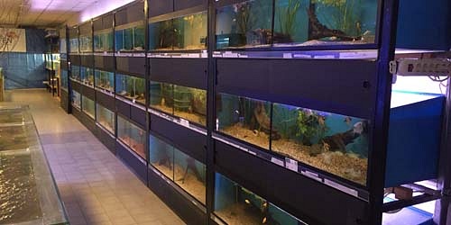 Van Oosten vissen & reptielen-Assen