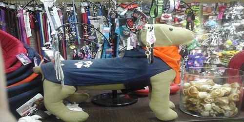 Pet Snoopy