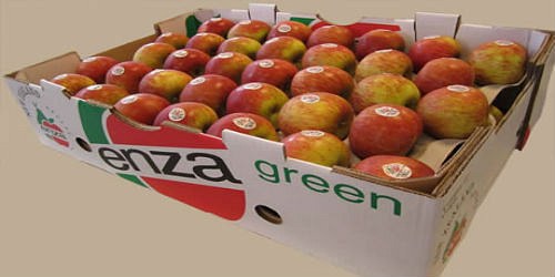 Comercializadora NUEVO MILENIO CYR