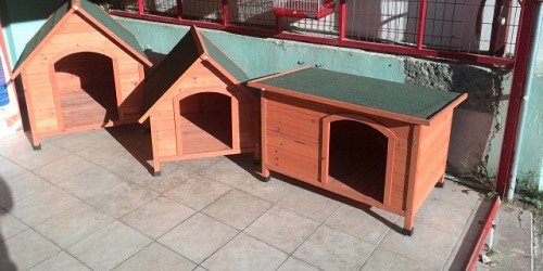 Pet Snoopy