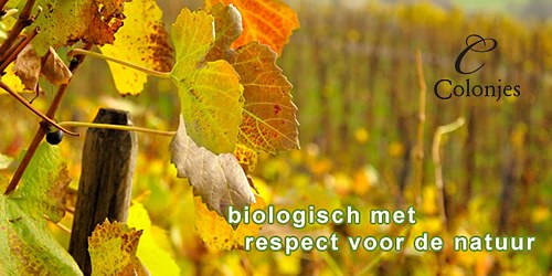 Wijnhoeve de Colonjes Groesbeek