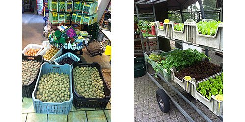 De Herpse dier en tuinspecialist