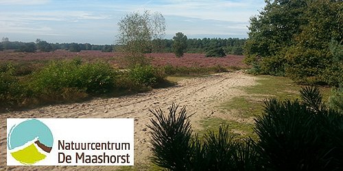 Natuurcentrum De Maashorst