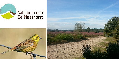 Natuurcentrum De Maashorst