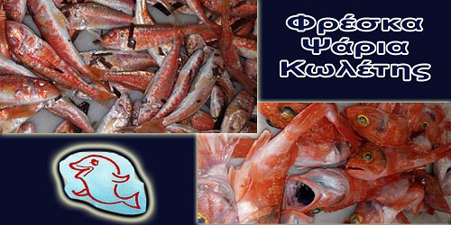 ΦΡΕΣΚΑ ΨΑΡΙΑ ΚΩΛΕΤΗΣ