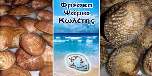 ΦΡΕΣΚΑ ΨΑΡΙΑ ΚΩΛΕΤΗΣ
