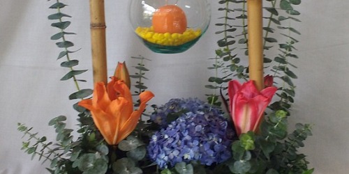 COMERCIALIZADORA ALAMEDA VENTA FLORES VIVERO CALI