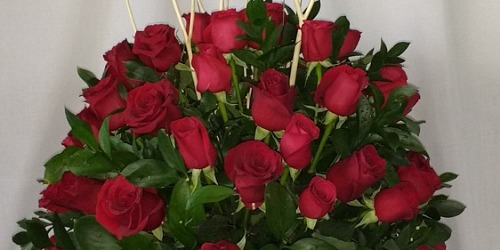 COMERCIALIZADORA ALAMEDA VENTA FLORES VIVERO CALI