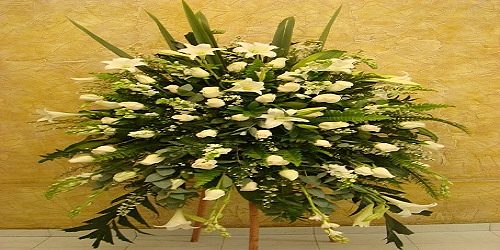 Floristeria Afrodita