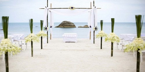 Eviva Weddings
