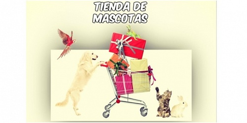 CLINICA VETERINARIA PET VILLAGE