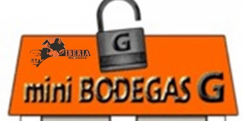 MUDANZAS IBERIA