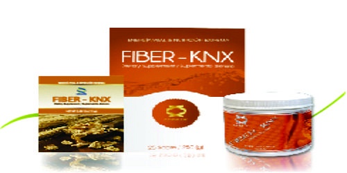 KINNUX INTERNACIONAL