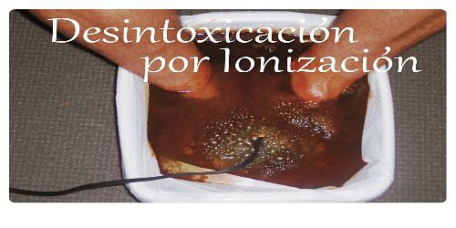 FARMACIA HOMEOPATICA ROCIO DE VIDA
