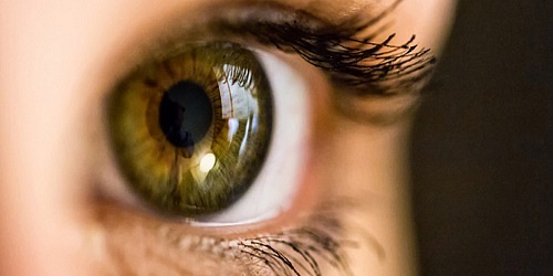 Optica Visión Integral