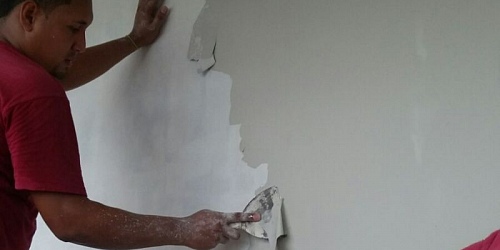 PLANOS INSPECCIONES Y CONSTRUCCIONES S.A