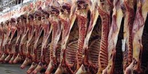 Boshof Abattoir