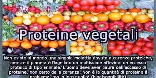 DIET SHOP