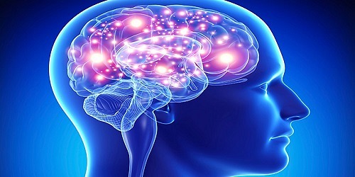 NEUROPSICOLOGA NORA SOTO