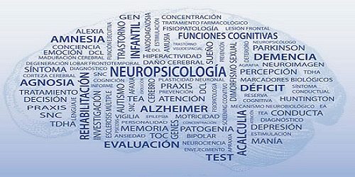 NEUROPSICOLOGA NORA SOTO