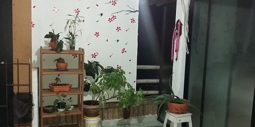 CABAÑA ROSULA POPAYAN