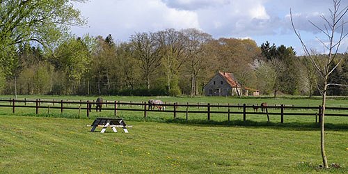 AnyTyme De Keizer/Café Royal Mill