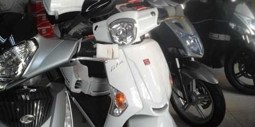 tummiolomotors