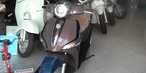 tummiolomotors