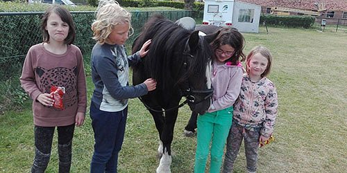 Camping Het Scharrelnest Wijchen