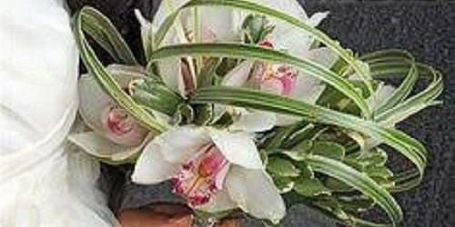 House of Flowers