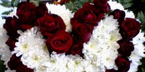 House of Flowers