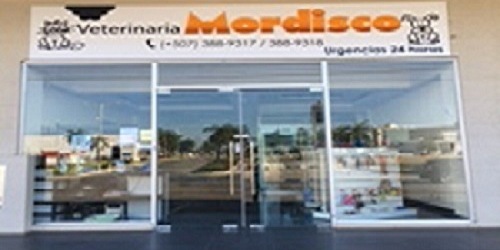 VETERINARIA MORDISCO PANAMA