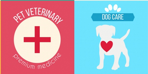 CLINICA VETERINARIA PET'S FRIENDS, CHORRERA